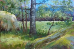 Okraj lesa l.  20 x 34